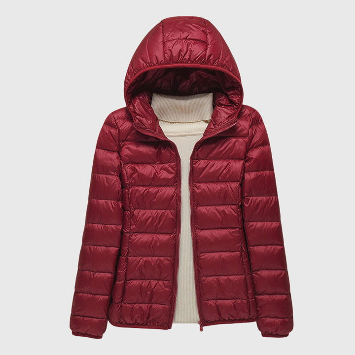 Ultralight hooded puffer jacket in burgundy, full-zip front with quilted panels